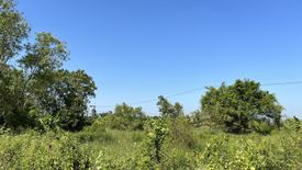 Land for sale in Don Chimphli, Chachoengsao