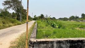 Land for sale in Phrong Maduea, Nakhon Pathom