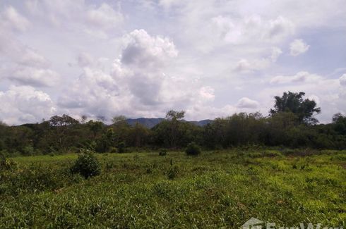 Land for sale in Muak Lek, Saraburi