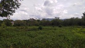 Land for sale in Muak Lek, Saraburi