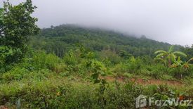 Land for sale in Kachet, Rayong