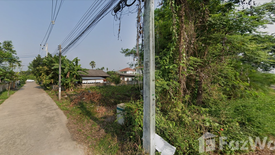 Land for sale in San Sai Luang, Chiang Mai