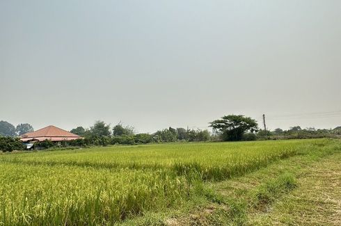 Land for sale in Ban Thi, Lamphun