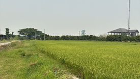 Land for sale in Ban Thi, Lamphun