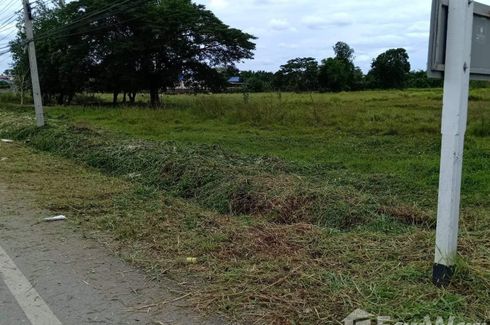 Land for sale in Phu Kradueng, Loei