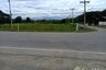 Land for sale in Phu Kradueng, Loei