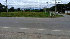 Land for sale in Phu Kradueng, Loei