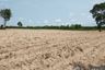 Land for sale in Non Mak Kheng, Sa Kaeo