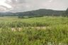 Land for sale in Na Si Nuan, Mukdahan