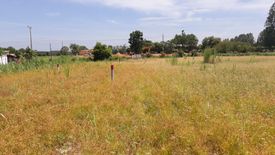 Land for sale in Kut Nam Sai, Khon Kaen