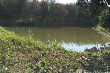 Land for sale in Pa Sang, Chiang Rai