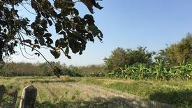 Land for sale in Pa Sang, Chiang Rai