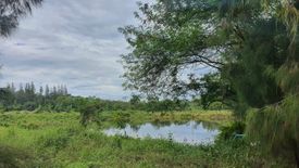 Land for sale in Khlong Kio, Chonburi