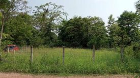 Land for sale in Dong Chen, Phayao