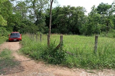 Land for sale in Dong Chen, Phayao