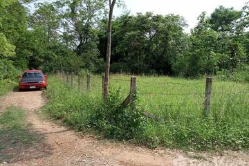 Land for sale in Dong Chen, Phayao