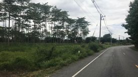 Land for sale in Nakhon Chedi, Lamphun