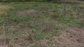 Land for sale in Nakhon Chedi, Lamphun