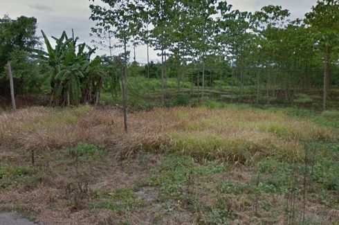 Land for sale in Nakhon Chedi, Lamphun