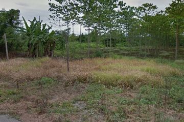 Land for sale in Nakhon Chedi, Lamphun