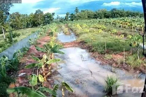 Land for sale in Phak Top, Udon Thani