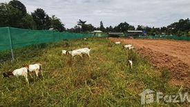 Land for sale in Phak Top, Udon Thani