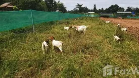 Land for sale in Phak Top, Udon Thani