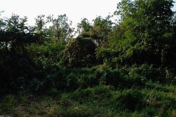 Land for sale in Kut Pong, Loei