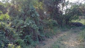 Land for sale in Kut Pong, Loei