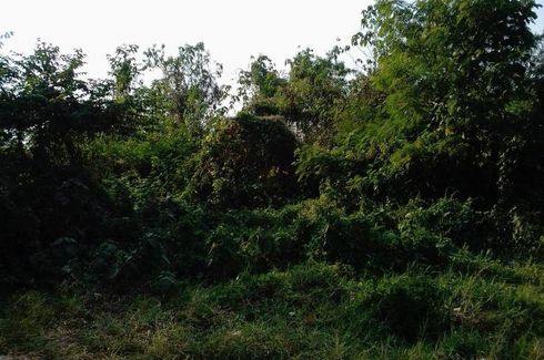 Land for sale in Kut Pong, Loei