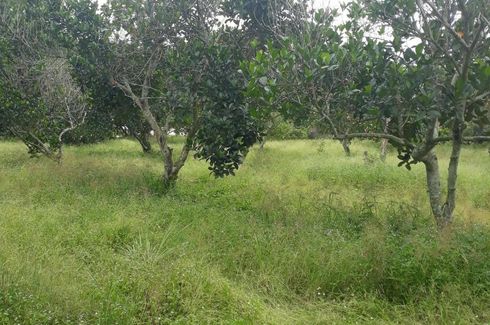 Land for sale in Ban Laeng, Rayong