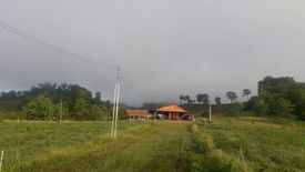 Land for sale in Wang Chomphu, Phetchabun