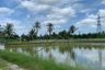 Land for sale in Lak Sam, Samut Sakhon