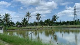 Land for sale in Lak Sam, Samut Sakhon