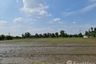 Land for sale in Khlong Khwang, Nonthaburi