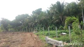 Land for sale in Wang Thong, Phitsanulok