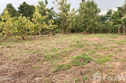 Land for sale in Wang Thong, Phitsanulok