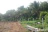 Land for sale in Wang Thong, Phitsanulok