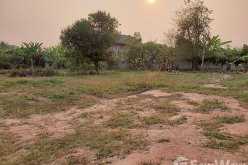 Land for sale in Dong Chen, Phayao