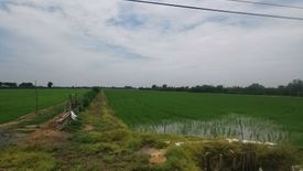 Land for sale in Sala Daeng, Chachoengsao