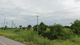 Land for sale in Bueng Phra, Phitsanulok