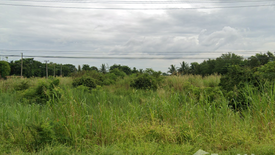 Land for sale in Bueng Phra, Phitsanulok