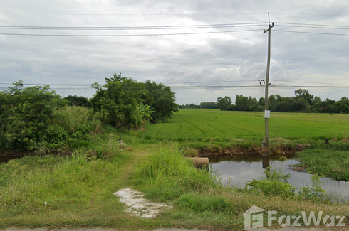 Land for sale in Bueng Phra, Phitsanulok