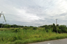 Land for sale in Bueng Phra, Phitsanulok