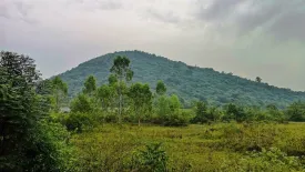 Land for sale in Rai Kao, Prachuap Khiri Khan