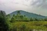 Land for sale in Rai Kao, Prachuap Khiri Khan