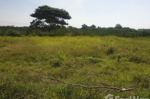 Land for sale in Lam Luk Ka, Pathum Thani