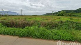 Land for sale in Chiang Dao, Chiang Mai