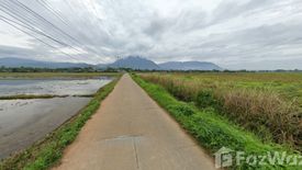 Land for sale in Chiang Dao, Chiang Mai