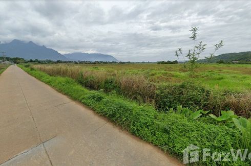 Land for sale in Chiang Dao, Chiang Mai